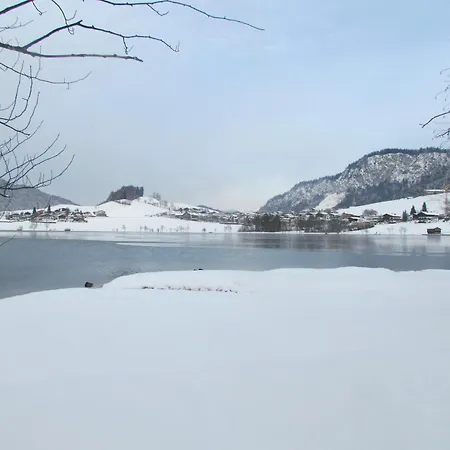 Gaestehaus Grauss 3* تيرسي